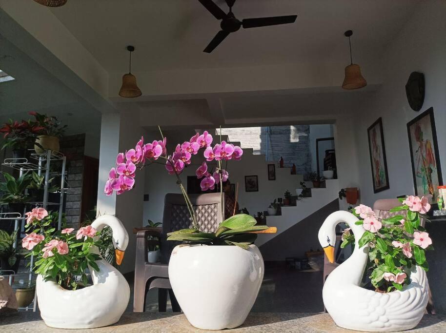 Almond Villa Find Your Paradise Alibaug Exterior foto