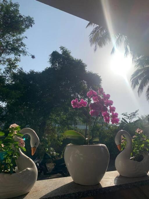Almond Villa Find Your Paradise Alibaug Exterior foto